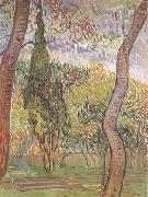 Vincent Van Gogh The Garden of Saint-Paul Hospital (nn04) Spain oil painting reproduction